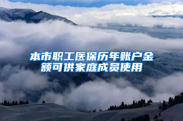 本市职工医保历年账户金额可供家庭成员使用