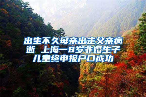 出生不久母亲出走父亲病逝 上海一8岁非婚生子儿童终申报户口成功