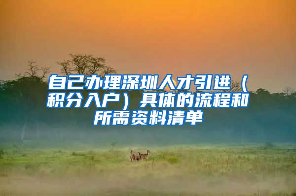 自己办理深圳人才引进（积分入户）具体的流程和所需资料清单