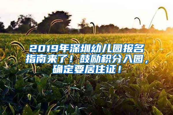 2019年深圳幼儿园报名指南来了！鼓励积分入园，确定要居住证！