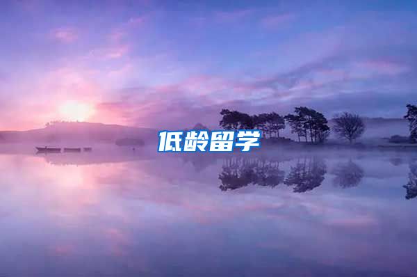 低龄留学