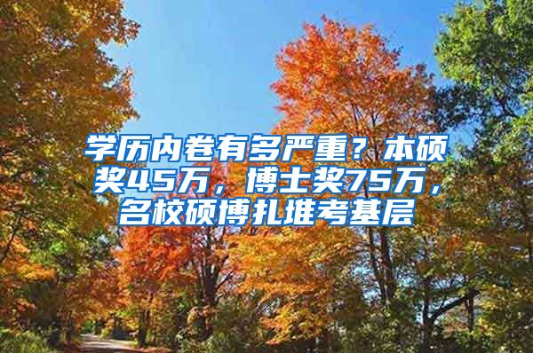 学历内卷有多严重？本硕奖45万，博士奖75万，名校硕博扎堆考基层