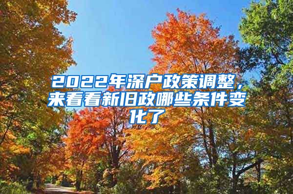 2022年深户政策调整，来看看新旧政哪些条件变化了