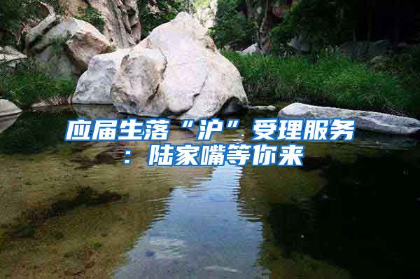 应届生落“沪”受理服务：陆家嘴等你来