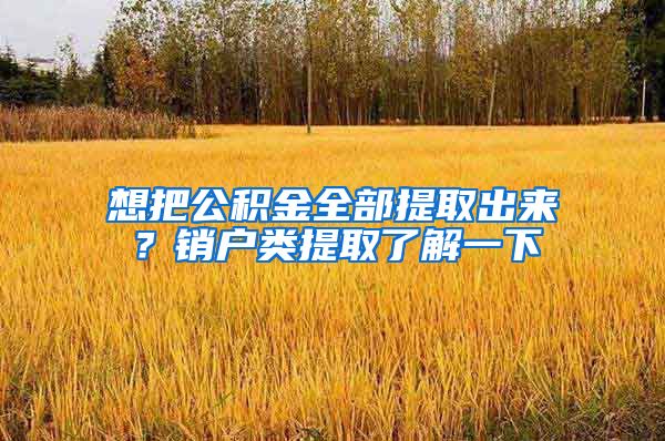 想把公积金全部提取出来?销户类提取了解一下