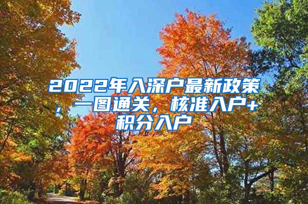 2022年入深户最新政策,一图通关,核准入户+积分入户