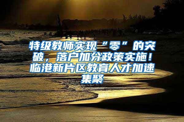 特级教师实现“零”的突破，落户加分政策实施！临港新片区教育人才加速集聚