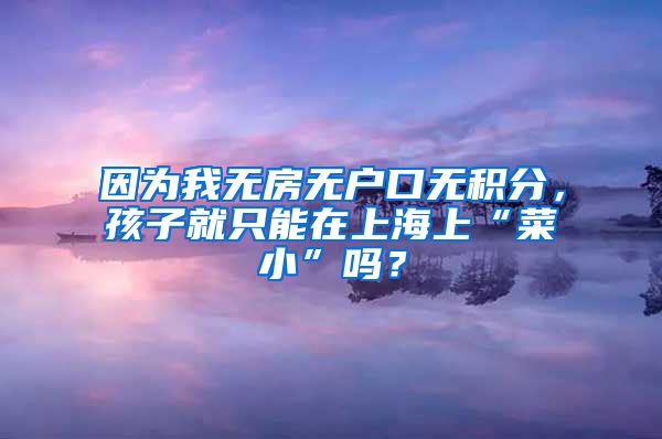 因为我无房无户口无积分，孩子就只能在上海上“菜小”吗？