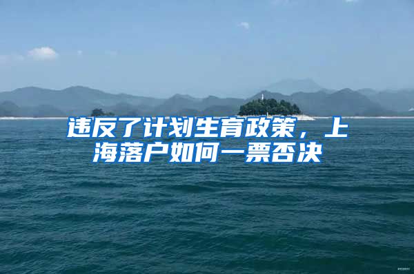 违反了计划生育政策，上海落户如何一票否决