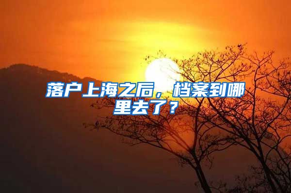 落户上海之后,档案到哪里去了?