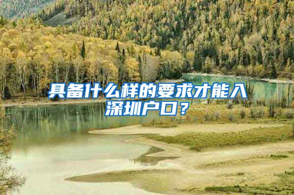 具备什么样的要求才能入深圳户口？