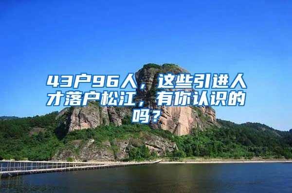 43户96人,这些引进人才落户松江,有你认识的吗?