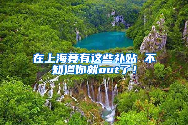 在上海竟有这些补贴 不知道你就out了！