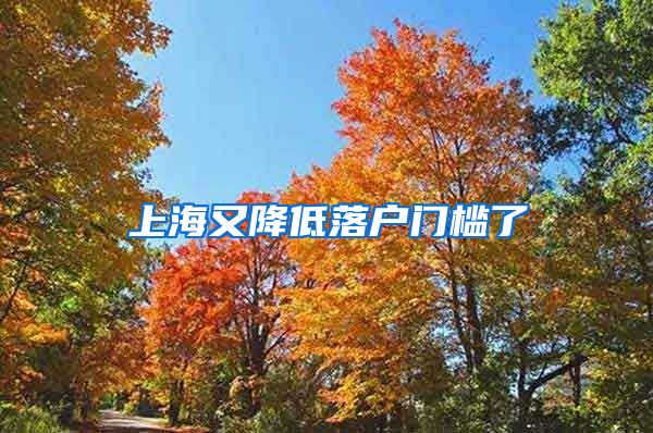 上海又降低落户门槛了