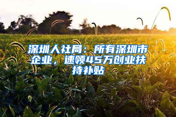 深圳人社局:所有深圳市企业,速领45万创业扶持补贴
