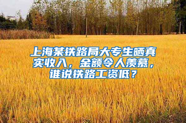 上海某铁路局大专生晒真实收入，金额令人羡慕，谁说铁路工资低？