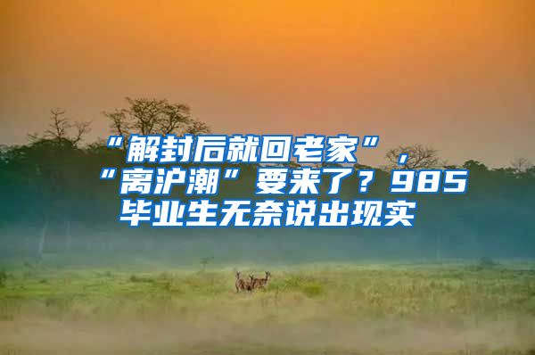 “解封后就回老家”，“离沪潮”要来了？985毕业生无奈说出现实