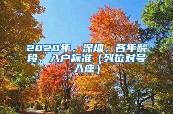 2020年,深圳,各年龄段,入户标准(列位对号入座)