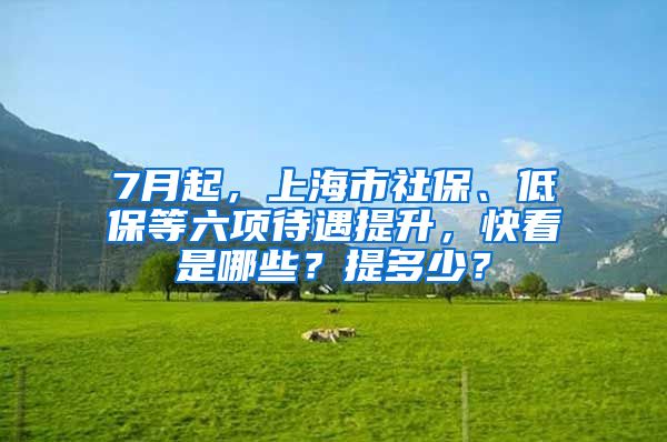 7月起，上海市社保、低保等六项待遇提升，快看是哪些？提多少？