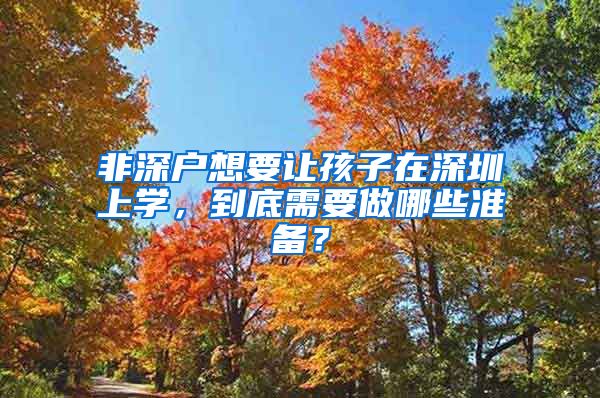 非深户想要让孩子在深圳上学，到底需要做哪些准备？