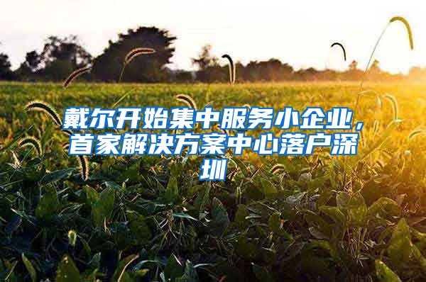 戴尔开始集中服务小企业，首家解决方案中心落户深圳