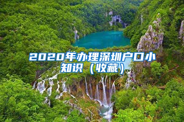 2020年办理深圳户口小知识（收藏）