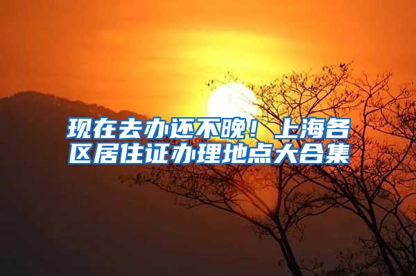 现在去办还不晚！上海各区居住证办理地点大合集