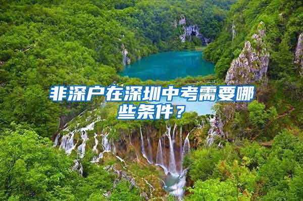 非深户在深圳中考需要哪些条件?