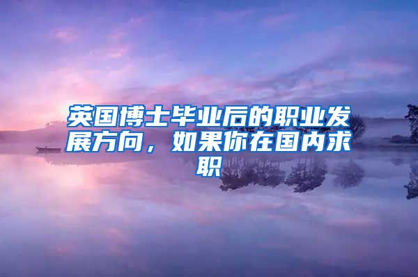 英国博士毕业后的职业发展方向，如果你在国内求职