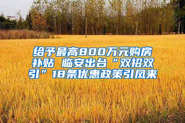 给予最高800万元购房补贴 临安出台“双招双引”18条优惠政策引凤来