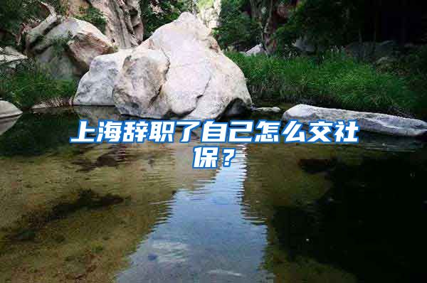 上海辞职了自己怎么交社保?