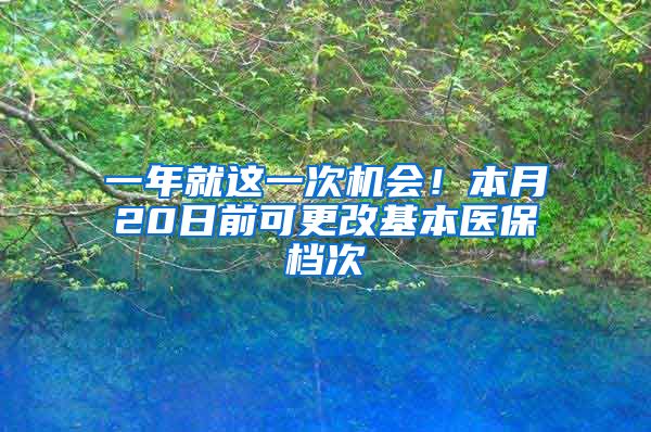 一年就这一次机会!本月20日前可更改基本医保档次