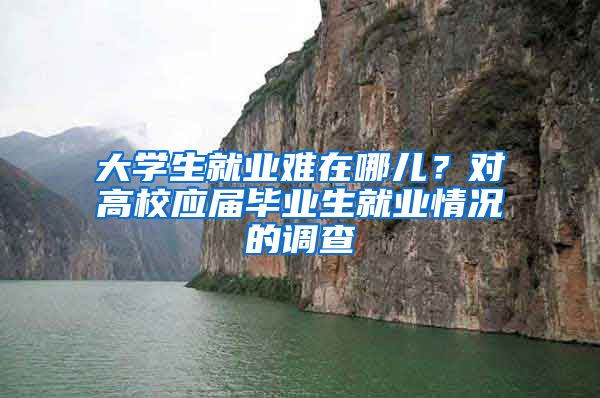 大学生就业难在哪儿？对高校应届毕业生就业情况的调查