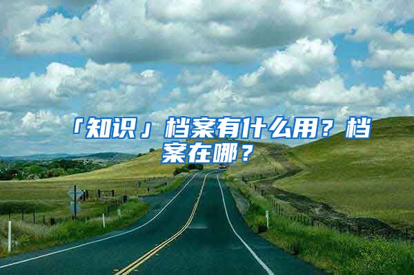 「知识」档案有什么用?档案在哪?