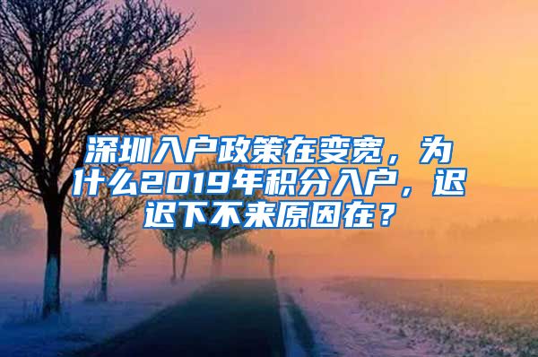 深圳入户政策在变宽，为什么2019年积分入户，迟迟下不来原因在？
