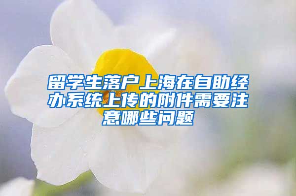 留学生落户上海在自助经办系统上传的附件需要注意哪些问题
