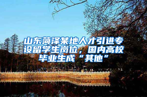 山东菏泽某地人才引进专设留学生岗位,国内高校毕业生成“其他”