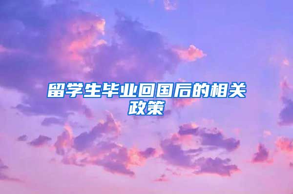 留学生毕业回国后的相关政策