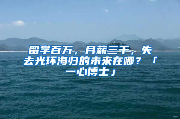 留学百万，月薪三千，失去光环海归的未来在哪？「一心博士」