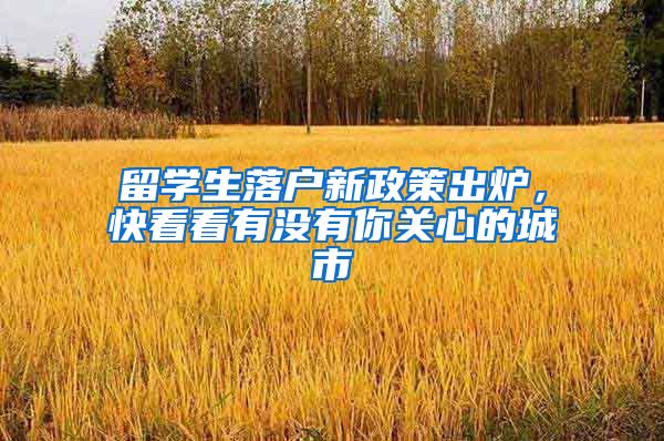 留学生落户新政策出炉,快看看有没有你关心的城市