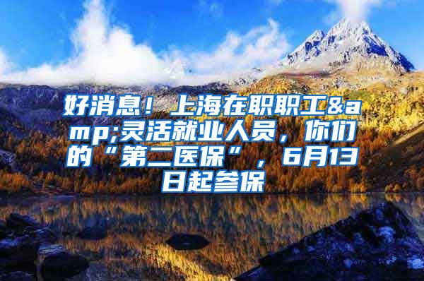 好消息！上海在职职工&灵活就业人员，你们的“第二医保”，6月13日起参保