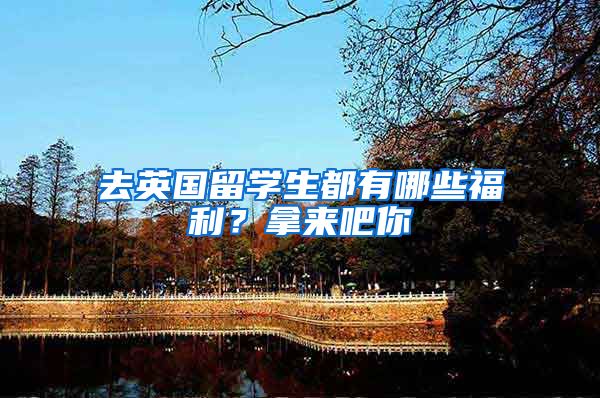 去英国留学生都有哪些福利？拿来吧你