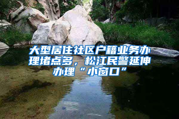 大型居住社区户籍业务办理堵点多,松江民警延伸办理“小窗口”