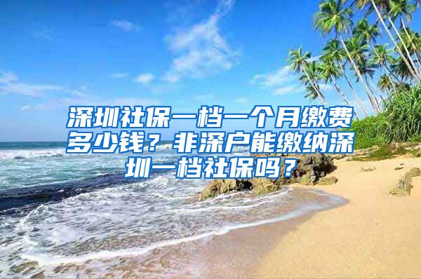 深圳社保一档一个月缴费多少钱?非深户能缴纳深圳一档社保吗?