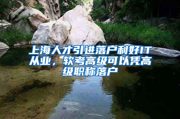 上海人才引进落户利好IT从业,软考高级可以凭高级职称落户