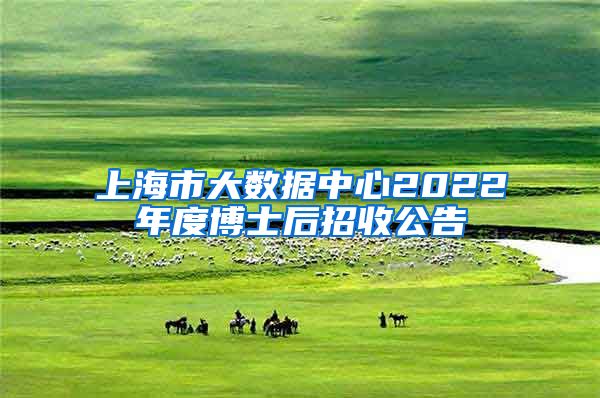上海市大数据中心2022年度博士后招收公告