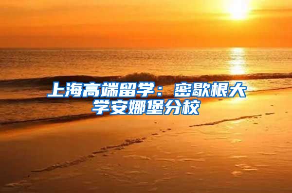 上海高端留学:密歇根大学安娜堡分校