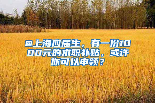 @上海应届生,有一份1000元的求职补贴,或许你可以申领?