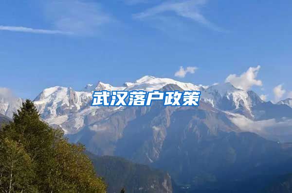 武汉落户政策