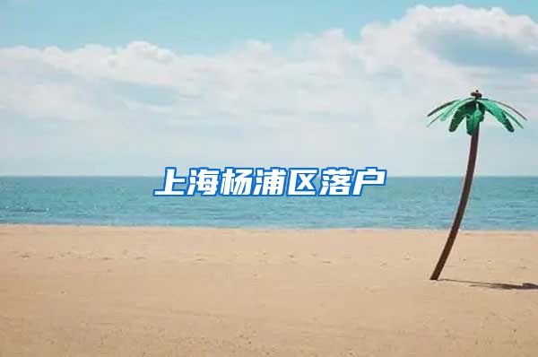 上海杨浦区落户